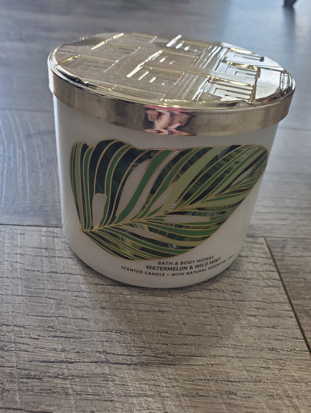 Bath And Body Works Watermelon And Wild Mint